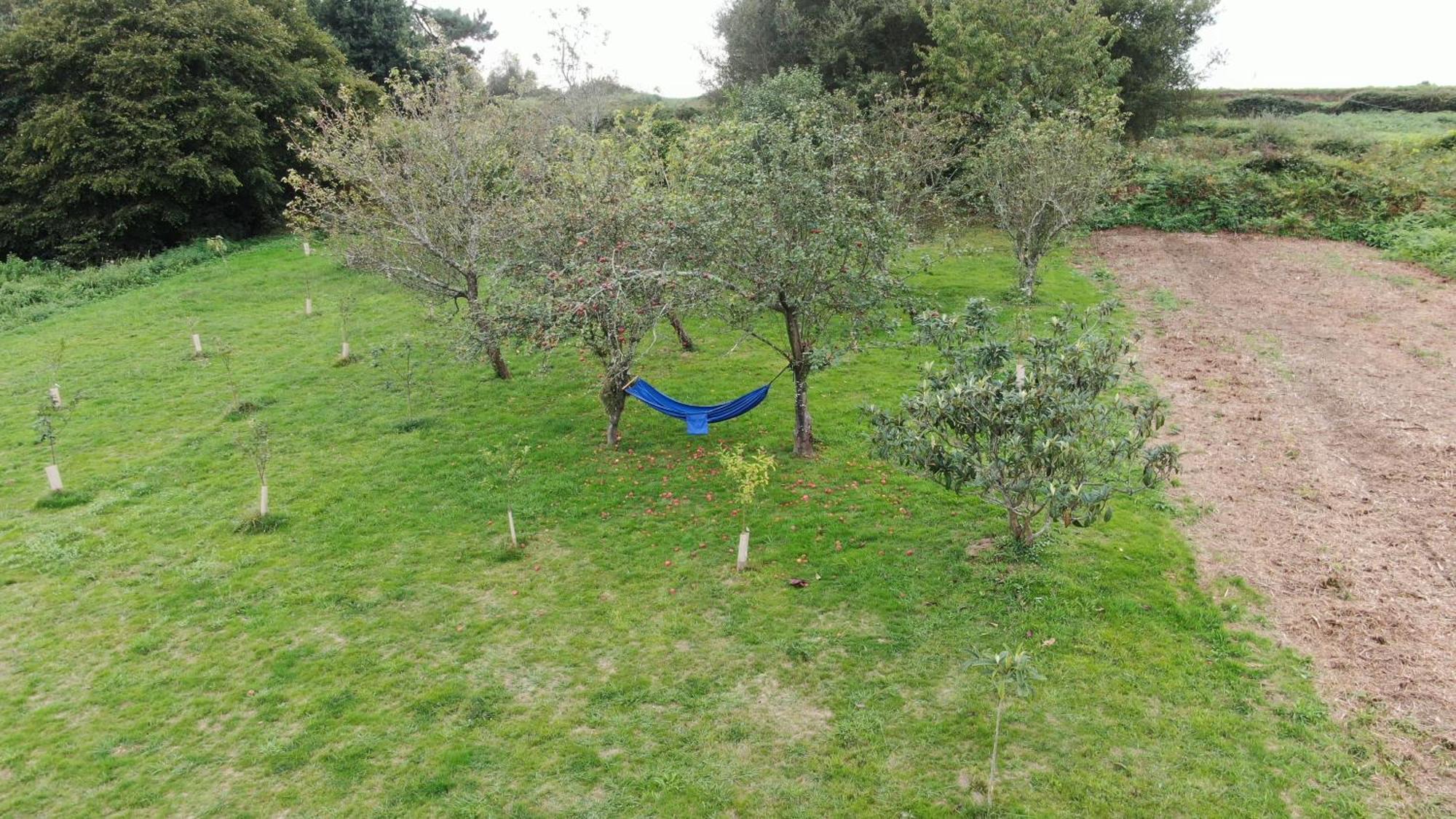 הוילה בטאנסוס A Casa Da Balbina מראה חיצוני תמונה