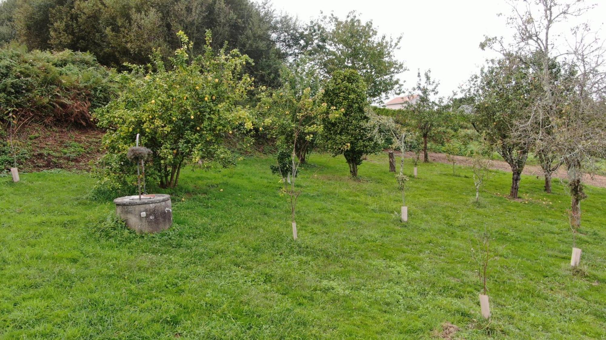 הוילה בטאנסוס A Casa Da Balbina מראה חיצוני תמונה